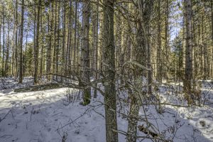 4 Off Deerskin Rd, , Eagle River,  WI 54521 United States