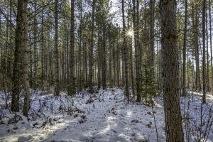 4 Off Deerskin Rd, , Eagle River,  WI 54521 United States