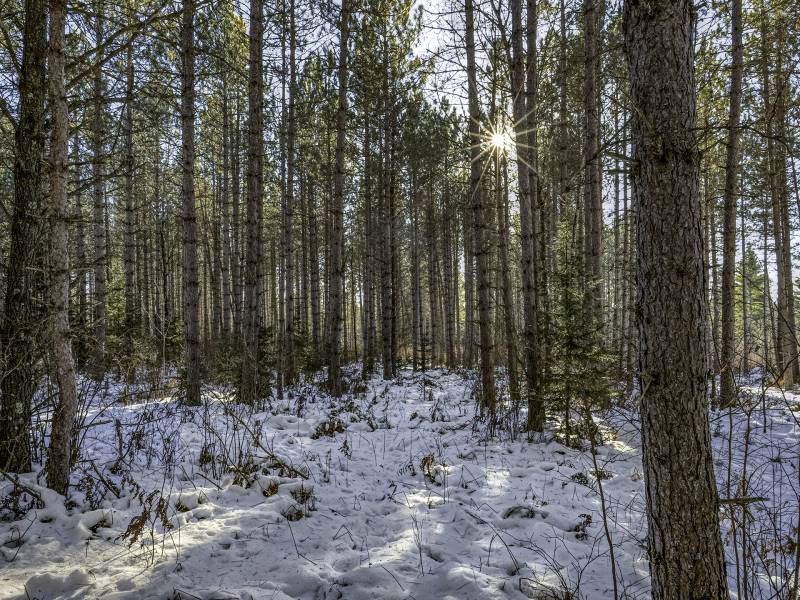 4 Off Deerskin Rd, , Eagle River,  WI 54521 United States