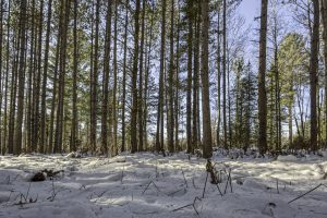 4 Off Deerskin Rd, , Eagle River,  WI 54521 United States