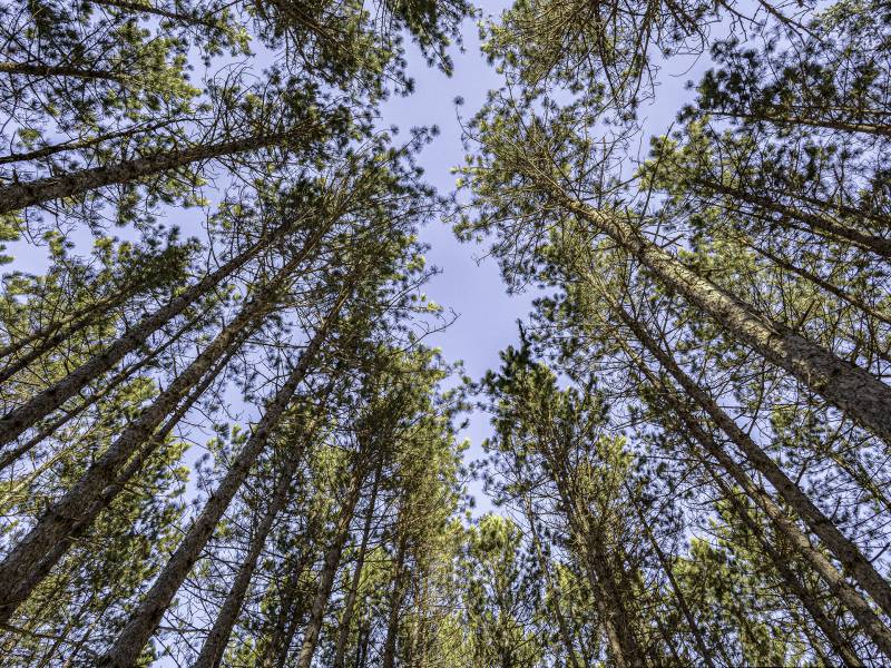 4 Off Deerskin Rd, , Eagle River,  WI 54521 United States