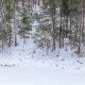 Lot 4 On Chickaree Lake Rd, , Eagle River,  WI 54521