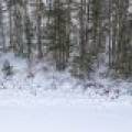 Lot 4 On Chickaree Lake Rd, , Eagle River,  WI 54521