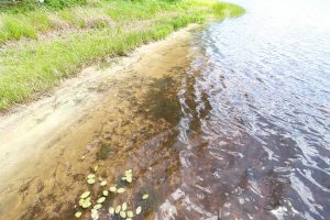 Lot 4 On Chickaree Lake Rd, , Eagle River,  WI 54521
