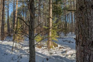 5 Off Deerskin Rd, , Eagle River,  WI 54521