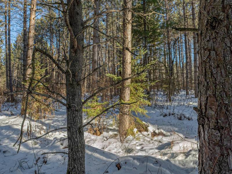 5 Off Deerskin Rd, , Eagle River,  WI 54521