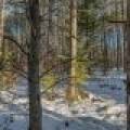 5 Off Deerskin Rd, , Eagle River,  WI 54521