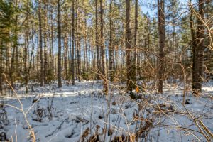 5 Off Deerskin Rd, , Eagle River,  WI 54521