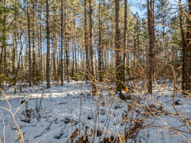 5 Off Deerskin Rd, , Eagle River,  WI 54521