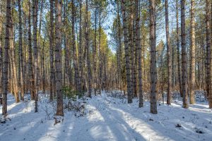 5 Off Deerskin Rd, , Eagle River,  WI 54521