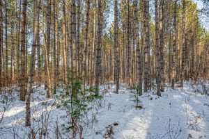 5 Off Deerskin Rd, , Eagle River,  WI 54521