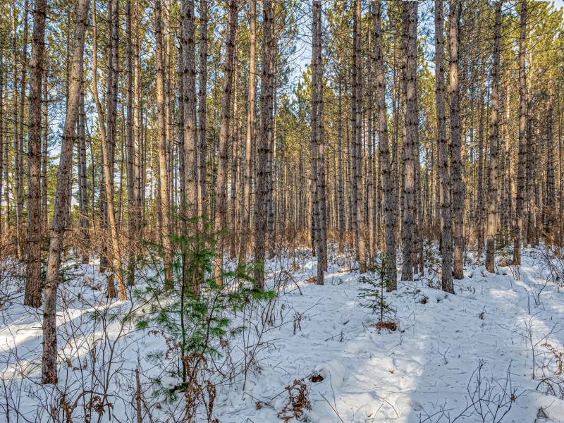 5 Off Deerskin Rd, , Eagle River,  WI 54521