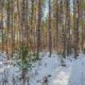 5 Off Deerskin Rd, , Eagle River,  WI 54521