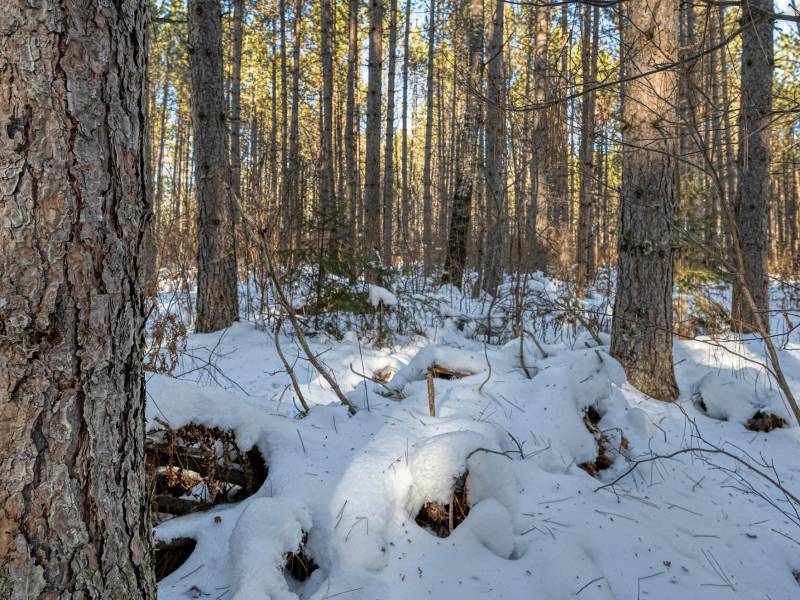 5 Off Deerskin Rd, , Eagle River,  WI 54521