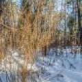 5 Off Deerskin Rd, , Eagle River,  WI 54521