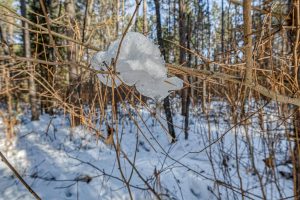 5 Off Deerskin Rd, , Eagle River,  WI 54521