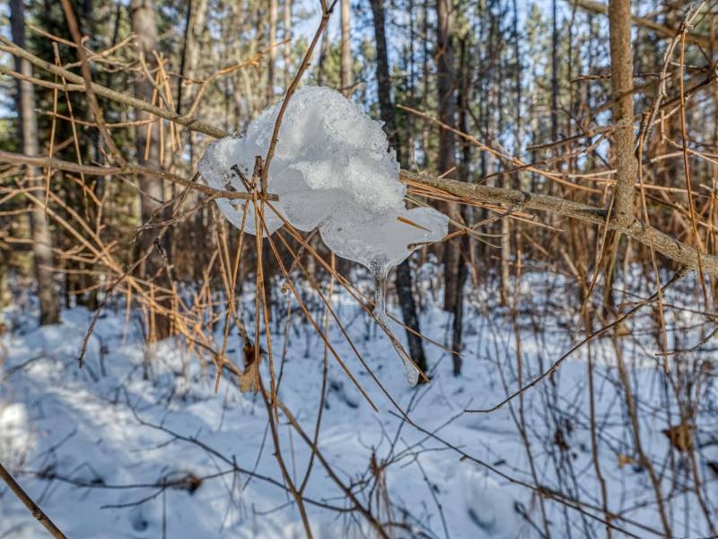 5 Off Deerskin Rd, , Eagle River,  WI 54521