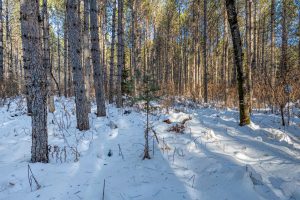 5 Off Deerskin Rd, , Eagle River,  WI 54521