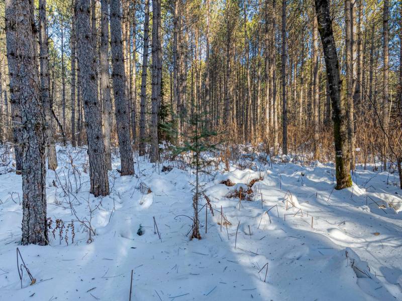 5 Off Deerskin Rd, , Eagle River,  WI 54521