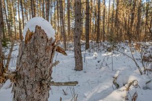 5 Off Deerskin Rd, , Eagle River,  WI 54521