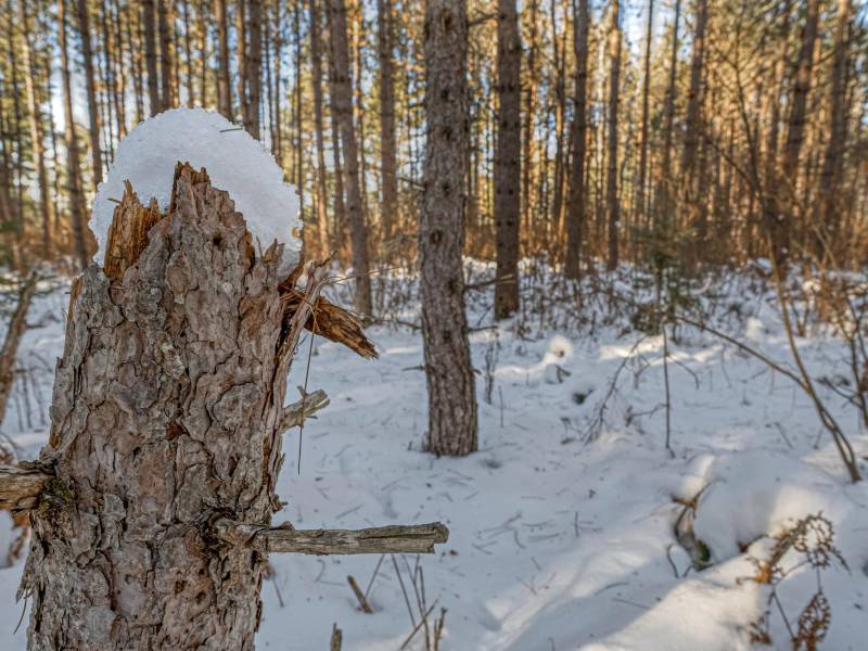 5 Off Deerskin Rd, , Eagle River,  WI 54521