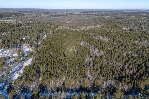 5 Off Deerskin Rd, , Eagle River,  WI 54521