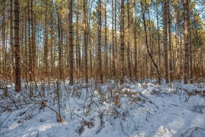 5 Off Deerskin Rd, , Eagle River,  WI 54521