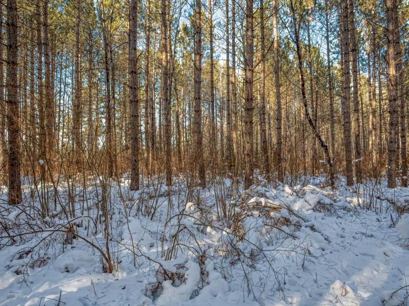 5 Off Deerskin Rd, , Eagle River,  WI 54521