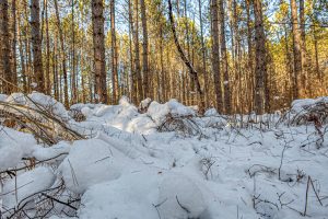 5 Off Deerskin Rd, , Eagle River,  WI 54521