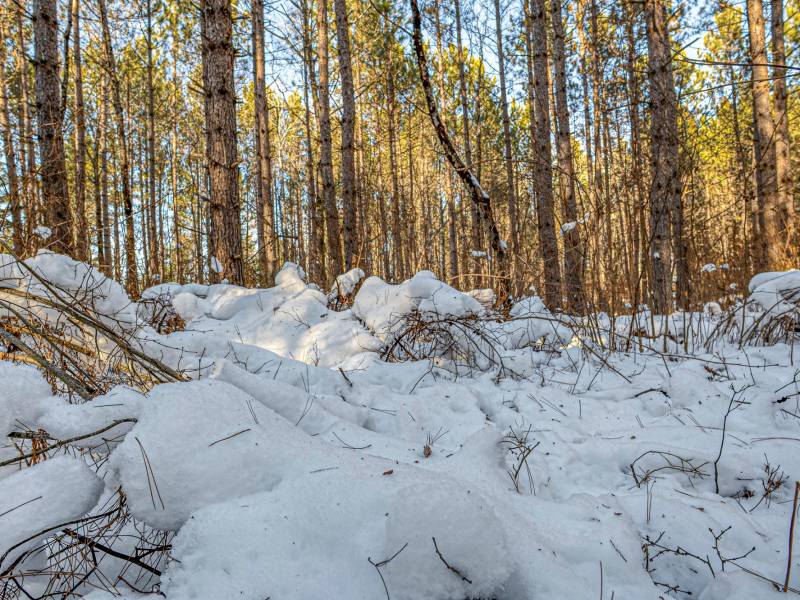 5 Off Deerskin Rd, , Eagle River,  WI 54521