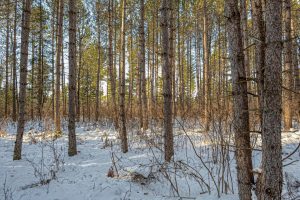 5 Off Deerskin Rd, , Eagle River,  WI 54521
