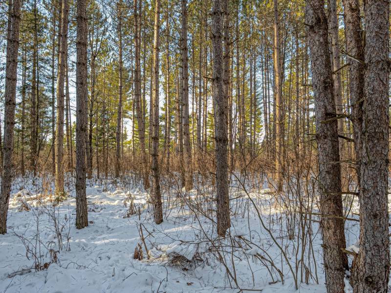 5 Off Deerskin Rd, , Eagle River,  WI 54521