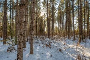 5 Off Deerskin Rd, , Eagle River,  WI 54521