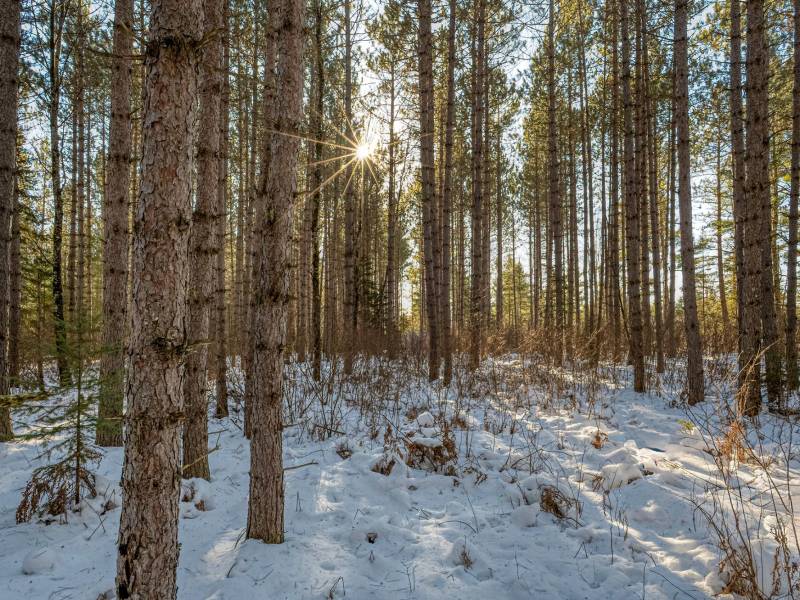 5 Off Deerskin Rd, , Eagle River,  WI 54521