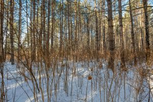5 Off Deerskin Rd, , Eagle River,  WI 54521