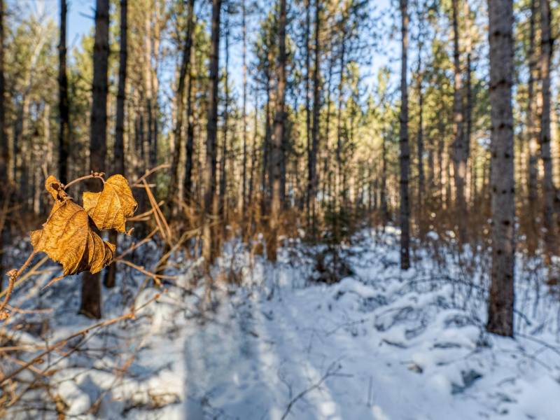 5 Off Deerskin Rd, , Eagle River,  WI 54521