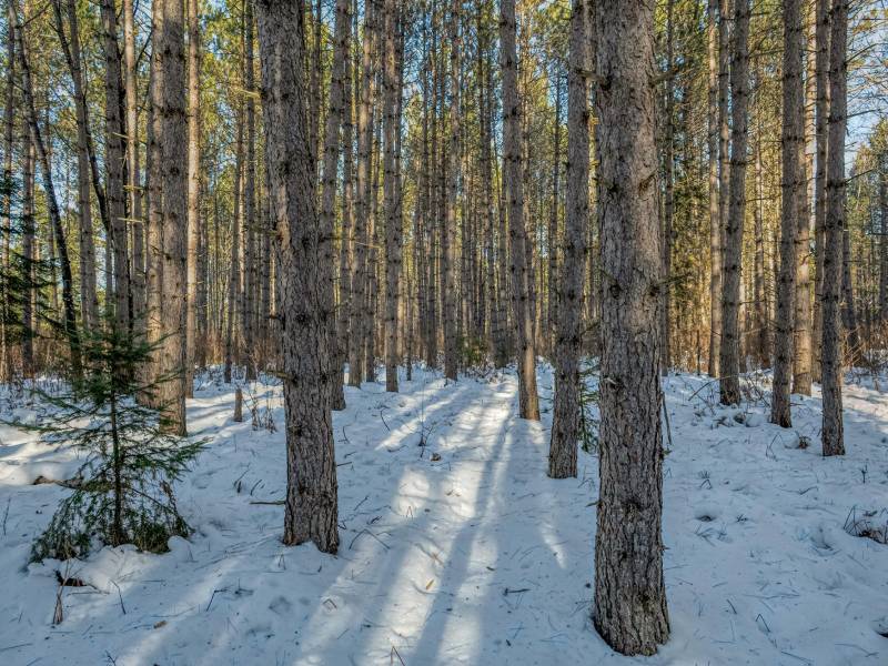 5 Off Deerskin Rd, , Eagle River,  WI 54521