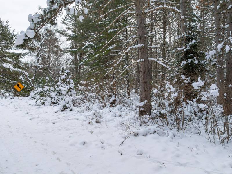 Lot 5 On River Rd, , Eagle River,  WI 54521
