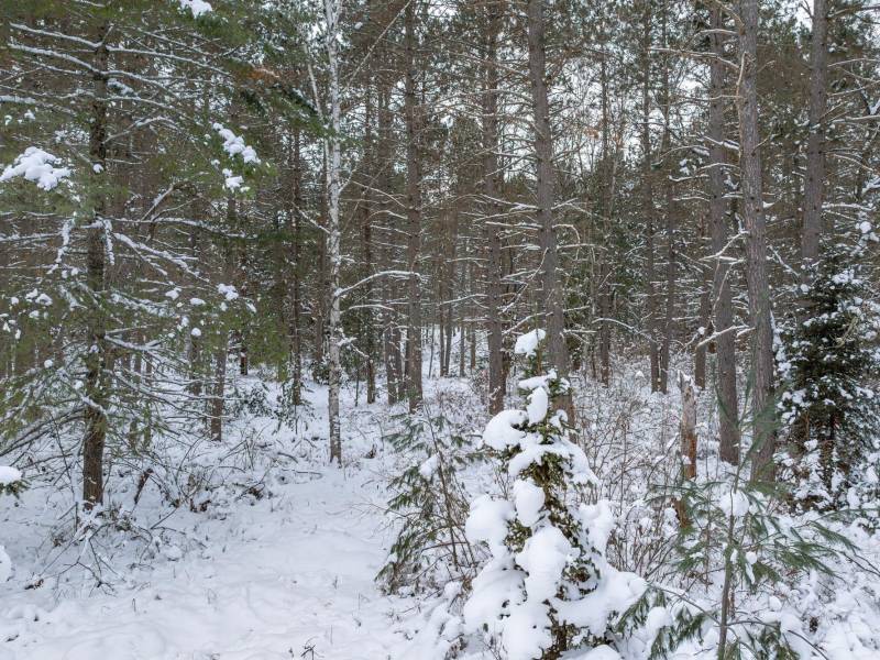 Lot 5 On River Rd, , Eagle River,  WI 54521