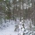 Lot 5 On River Rd, , Eagle River,  WI 54521