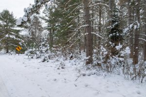 Lot 5 On River Rd, , Eagle River,  WI 54521