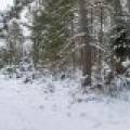 Lot 5 On River Rd, , Eagle River,  WI 54521