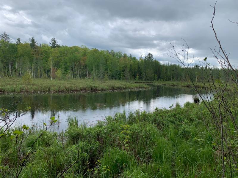 On Bear Tail Pt, , Phelps,  WI 54554