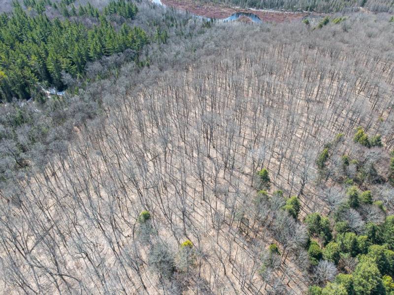 On Bear Tail Pt, , Phelps,  WI 54554