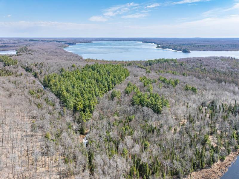 On Bear Tail Pt, , Phelps,  WI 54554