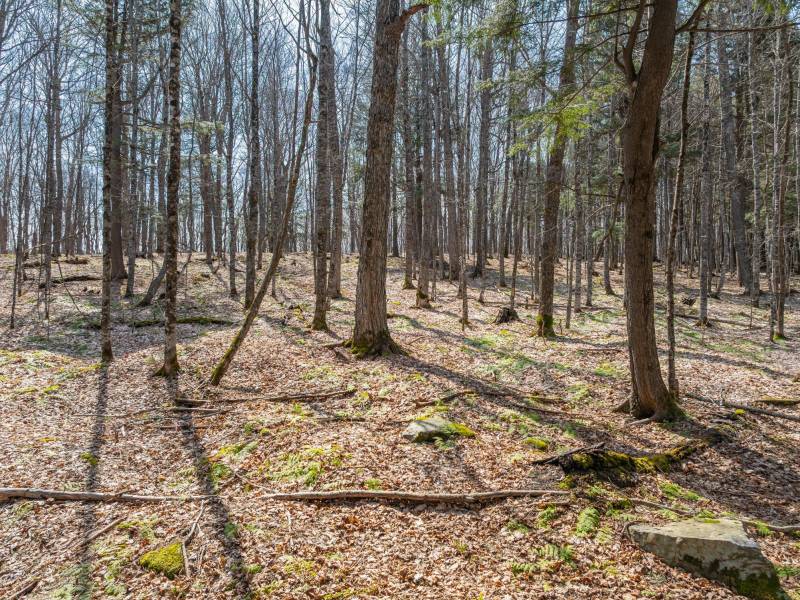 On Bear Tail Pt, , Phelps,  WI 54554