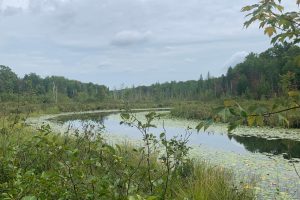 On Bear Tail Pt, , Phelps,  WI 54554