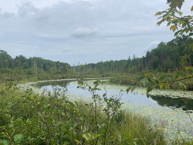 On Bear Tail Pt, , Phelps,  WI 54554