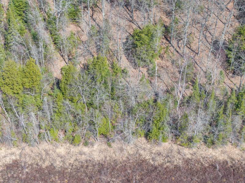 On Bear Tail Pt, , Phelps,  WI 54554