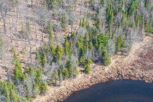 On Bear Tail Pt, , Phelps,  WI 54554